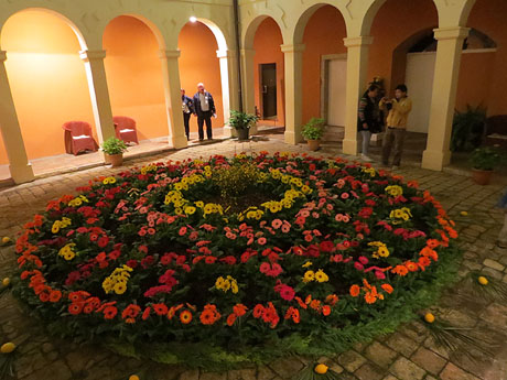 Temps de Flors 2018. Muntatges i instal·lacions florals al claustre del Museu d'Histò:ria