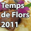 Men Girona Temps de Flors 2011