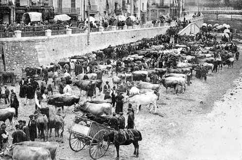 Mercat del bestiar a l'Areny del riu Onyar. Al fons, el carrer del Carme i el pont del Pes de la Palla. 1913-1920