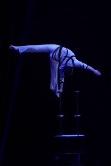 7a edició del Festival Internacional de Circ Elefant d'Or 2018 a la Devesa de Girona