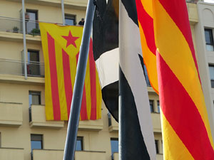 Manifestaci&oacute; antifeixista per un acte pol&iacute;tic de la plataforma Borb&ograve;nia amb el suport de Vox, a la pla&ccedil;a de l'U d'octubre del 2017