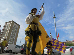 Fires de Sant Narc&iacute;s 2018. Toc de rams. Canvi dels rams de flors de les gegantes de Girona
