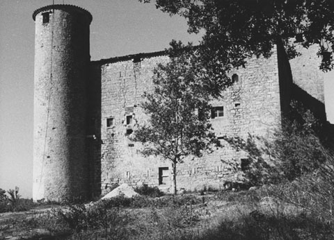 Façana lateral i una de les torres del Castell de Palau-sacosta, o Torres de Palau. 1985
