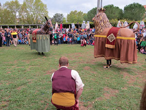 Fires 2019. 38a. Trobada de Gegants de Fires de Sant Narc&iacute;s al Parc del Migdia