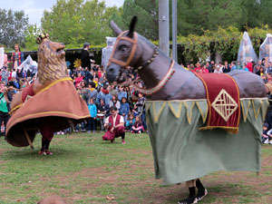 Fires 2019. 38a. Trobada de Gegants de Fires de Sant Narc&iacute;s al Parc del Migdia