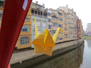 Imatges d'activitats 1-O. Material divers 2017