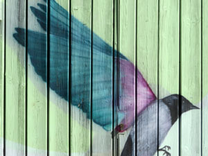 Festival monar'T a diversos indrets de Can Gibert del Pla i Santa Eug&egrave;nia