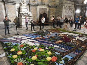 Temps de Flors 2023. Basílica de Sant Feliu - Capella de Sant Narcís