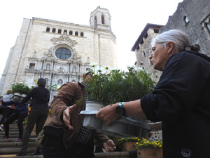 Temps de Flors 2023. Making of de l'esdeveniment