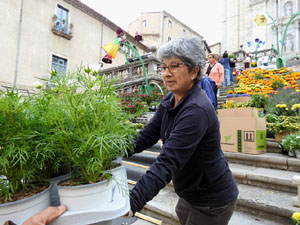 Temps de Flors 2023. Making of de l'esdeveniment