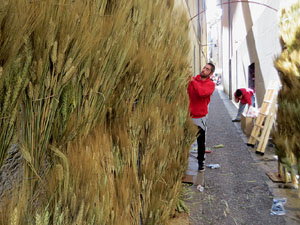 Temps de Flors 2023. Making of de l'esdeveniment