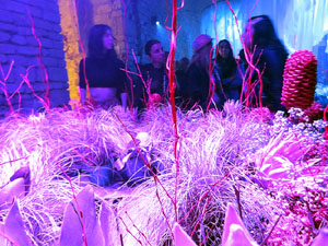 Temps de Flors 2023. Making of de l'esdeveniment