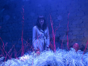 Temps de Flors 2023. Making of de l'esdeveniment
