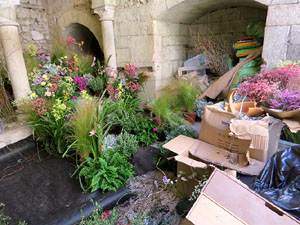 Temps de Flors 2023. Making of de l'esdeveniment