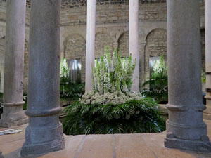 Temps de Flors 2023. Making of de l'esdeveniment