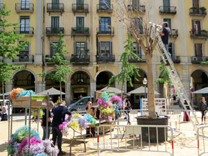 Temps de Flors 2023. Making of de l'esdeveniment