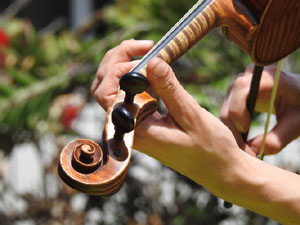 Cicle A prop 2024. Foresta