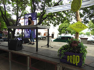 Cicle A prop 2024. Foxglove