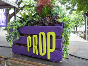 Cicle A prop 2024. Foxglove