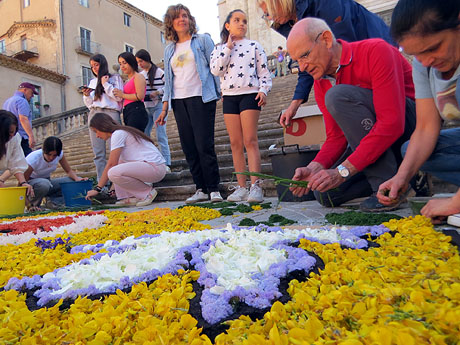 La Diada de Corpus 2024. Les catifes