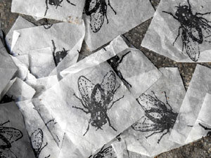 Fires de Sant Narc&iacute;s 2023. Les matinades