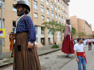 Fires de Sant Narcís 2024. XLIII Trobada de Gegants i Bestiari