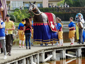 Fires de Sant Narcís 2024. XLIII Trobada de Gegants i Bestiari