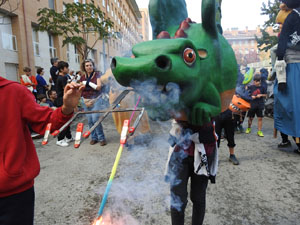 Fires de Sant Narcís 2024. XLIII Trobada de Gegants i Bestiari