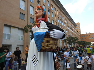 Fires de Sant Narcís 2024. XLIII Trobada de Gegants i Bestiari