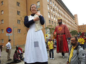 Fires de Sant Narcís 2024. XLIII Trobada de Gegants i Bestiari