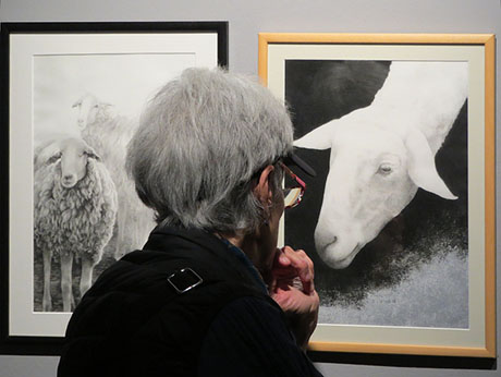 Inundart 2024. Casa de Cultura - planta baixa