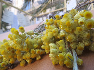 Inund'Art 2024. Rambla de la Llibertat