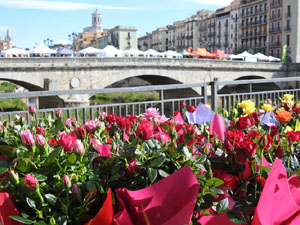 Diada de Sant Jordi a Girona