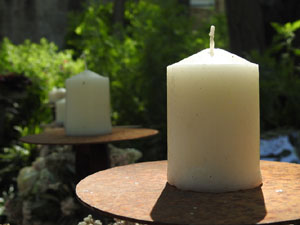 Temps de Flors 2024. Jardins dels Alemanys