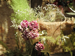 Temps de Flors 2024. Jardins dels Alemanys