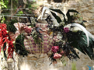 Temps de Flors 2024. Jardins dels Alemanys