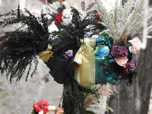 Temps de Flors 2024. Jardins dels Alemanys