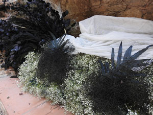 Temps de Flors 2024. Jardins dels Alemanys