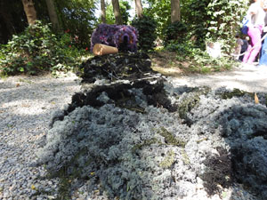 Temps de Flors 2024. Jardins dels Alemanys