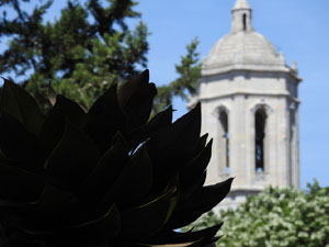 Temps de Flors 2024. Jardins dels Alemanys