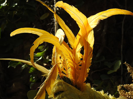 Temps de Flors 2024. Jardins dels Alemanys