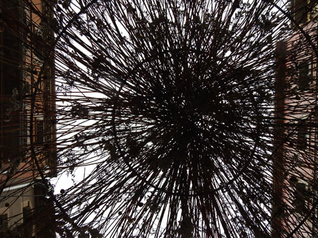 Temps de Flors 2024. Carrer Argenteria