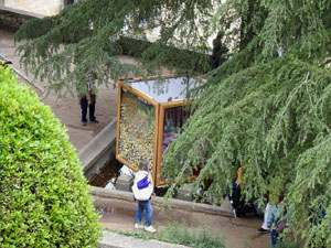 Temps de Flors 2024. Passeig Arqueol&ograve;gic - Font
