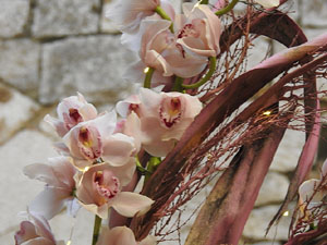 Temps de Flors 2024. Casa Lleó Avinay