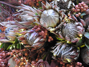 Temps de Flors 2024. Casa Lleó Avinay