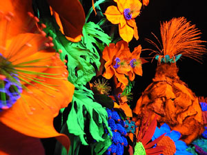 Temps de Flors 2024. Casa Lleó Avinay