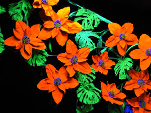 Temps de Flors 2024. Casa Lleó Avinay