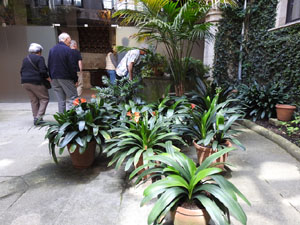 Temps de Flors 2024. Palau de Caramany