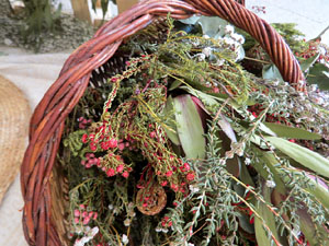 Temps de Flors 2024. Casa de Cultura