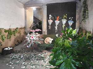 Temps de Flors 2024. Casal del carrer de la Força
